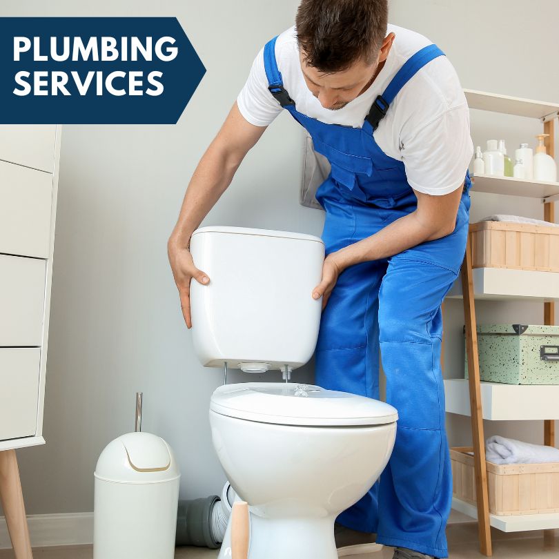 Plumbing Company in Carson City, MI